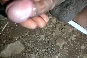 Bm Brilliant