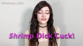 Shrimp Dick Cuck Humiliation JOI