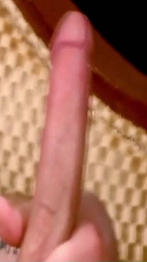 Skinny Latina Big Tit Tranny Fucked Anally in a Hotel Room