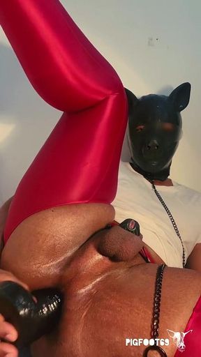 Please Insert a Very Thick Dick with a Leash Into My Ass and Whip Me a Lot While I Hold This Position.