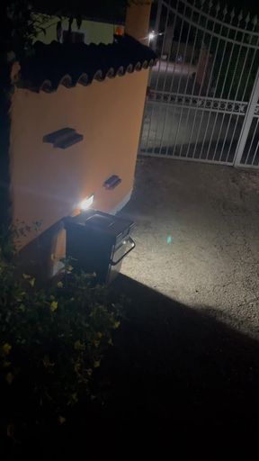 Jerking off in the middle of the street