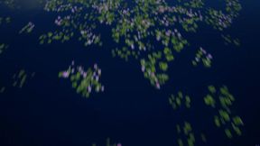 Ember Snow- Double POV Blowjob + Swallow w Remy Rune