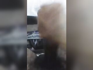 BBC stroking and nutted