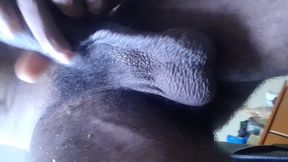 My Ball Sack Swings