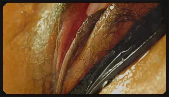 Ren and her female friend get carried away with a strap on