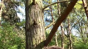 Wonderful milf enjoys getting screwed outdoors