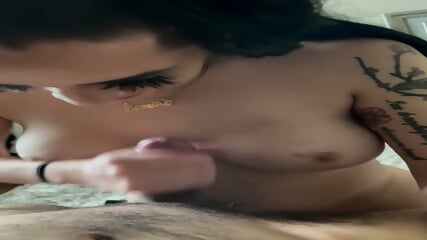 Sneaky link milks young stud