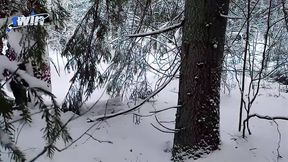 Winter's cold can't hold back this cutie's enthusiasm for a massive cum-shot in the forest. music___ for 1WINPORN.