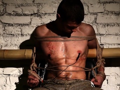 Hardy Slave Zhenya Final