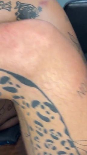 Spotlight Series Vol One Poppy & Fernanda Uzi