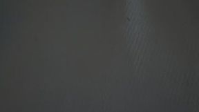 Belly Plopping Story MP4