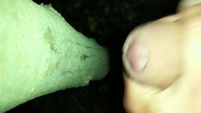 I Added My Cum on "cruising Cum Tree"