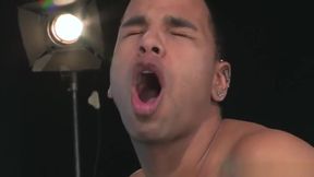 XL &amp;amp; Trelino