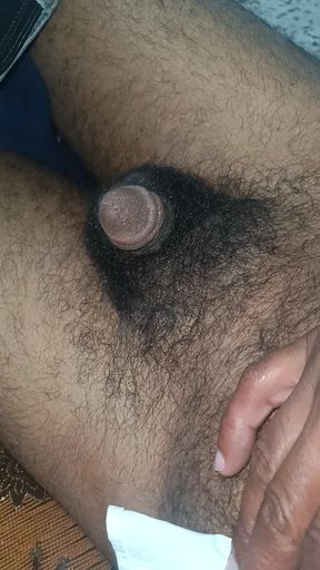 My cock is hairy, come fuck me.