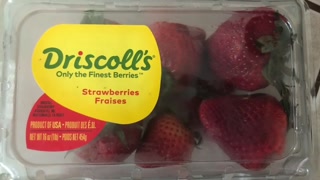 STRAWBERRY LOVE