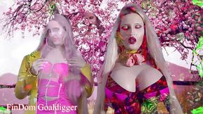 Your cock is rockhard for your mistress