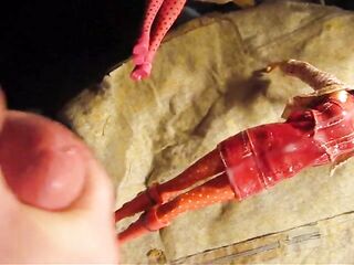 BBB preview: Sofia Valentine "Red Hooded Semi-Ruined"(cum only)WMV withSloM