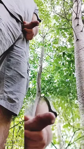 Quick orgasm in the park