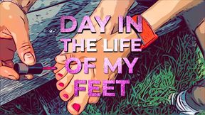 A day in the life of my Feet (MOV HD)