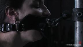 Face Control