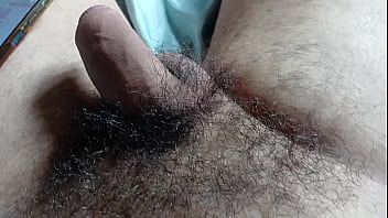 Peludo pentelhudo