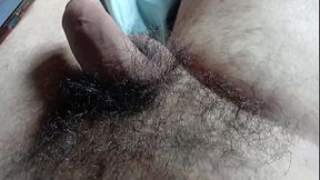 Peludo pentelhudo