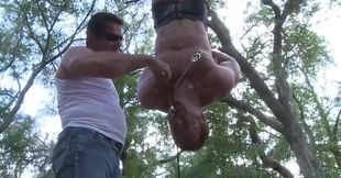 He is hanging upside down in the middle of the forest