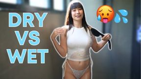 How See Through is It? 4K Wet vs Dry Transparent T-shirt and Panties Try on Haul with Elixir Elf