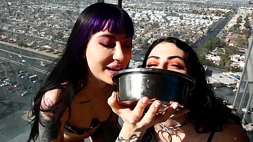 Good Bitches Drinking Piss