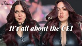 It’s all about the CEI