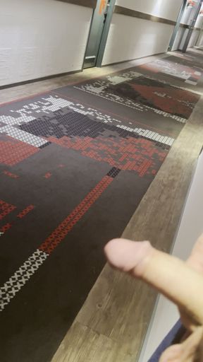 Flashing dick on hallway of Preston palace