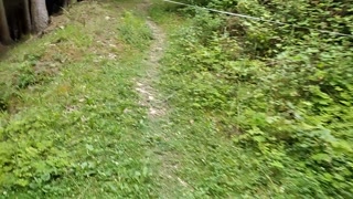 Exhibitionist Walks Naked, Rubs His Big Dick with the Tree, and His Sperm Comes Out Slowly