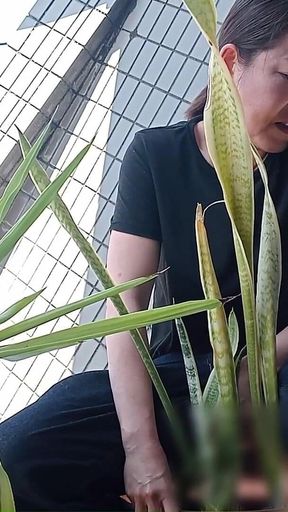 Peeing on a Potted Plant