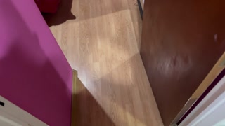 Job INTERVIEW if I don't go to EVERYTHING, what am I going for?