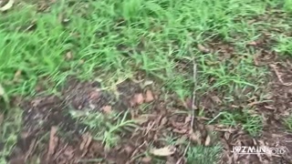 Public Pissing, hairy Compilation