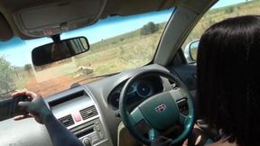 Wild African Safari's Dark Alleyways Get Filled Up Real Good - Fast Ride