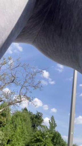 she couldn’t hold it and pees through her leggings in public