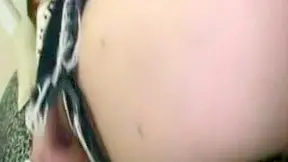 Beauty Wild Encounter with a Stranger