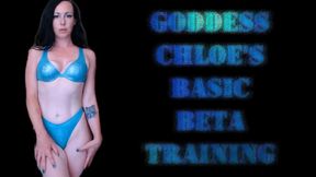 Goddess Chloe's Basic Beta Training