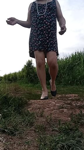 Ladyboy panty