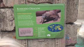 Virtual vacation in Las Vegas with Kenzie Reeves part 1