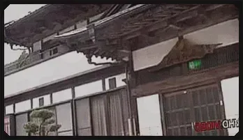 Japanese Couple’s Hot Outdoor Sex Under the Stars