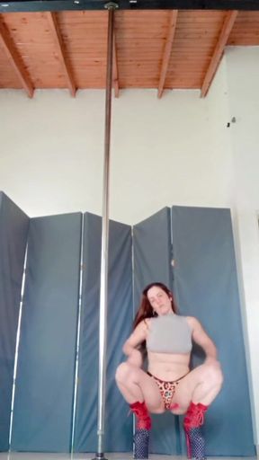 Sexy Stripdance with incredible end