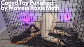 Mistress Roxxie Moth Canes Her Captive Slave Girl featuring Bondage, Caning, BDSM, Lesbian Domination, Electro Play with Lita Lecherous - MP4 HD