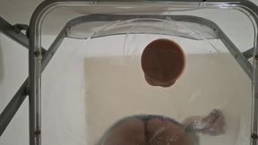 Trans Fat Ass Gwen Facesitting and Anal Fucked with Creampie Through Clear Chair for the First Time.