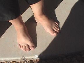 BBW Teri Feet