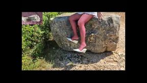 Tour in forest 3