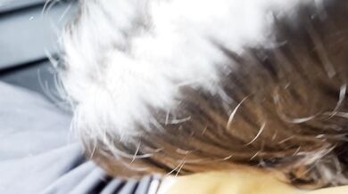 Oral sex on public transport, I invite a tourist to sit next to me, she sucks me until I ejaculate (part 2)