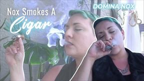 Nox Smokes A Cigar (HD MP4)