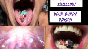 Goddess Sloppy Swallow:My Mouth Is Your New Home